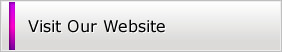 PayPal Payment Terminal Wordpress - 3
